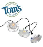 Toothpaste Tube Holiday Light Strand
